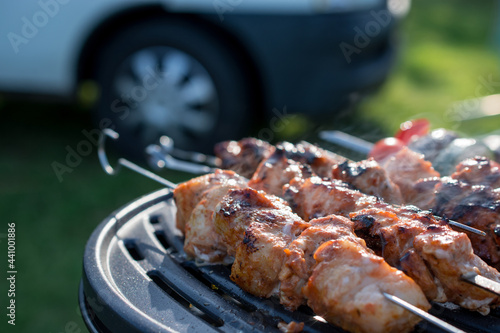 grillet meat and vegetables on grill in campsite photo