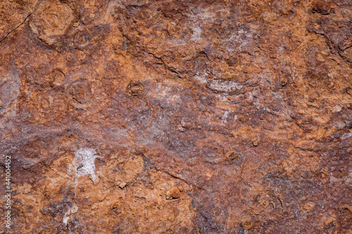 Принти на полотні texture of  Cliffs at Hive Beach, Burton Bradstock, Bridport, Dorset, England, United Kingdom