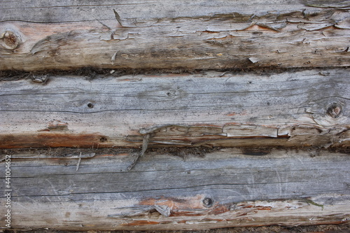 old wood background