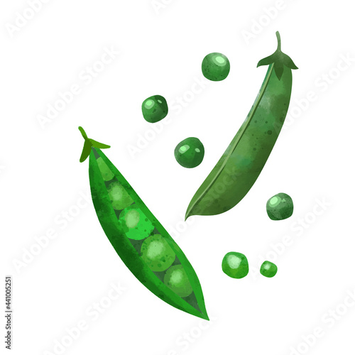 Veggies. Hand drawn vector illustration.