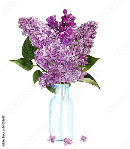 Hand drawn vector lilac bouquet in bottle