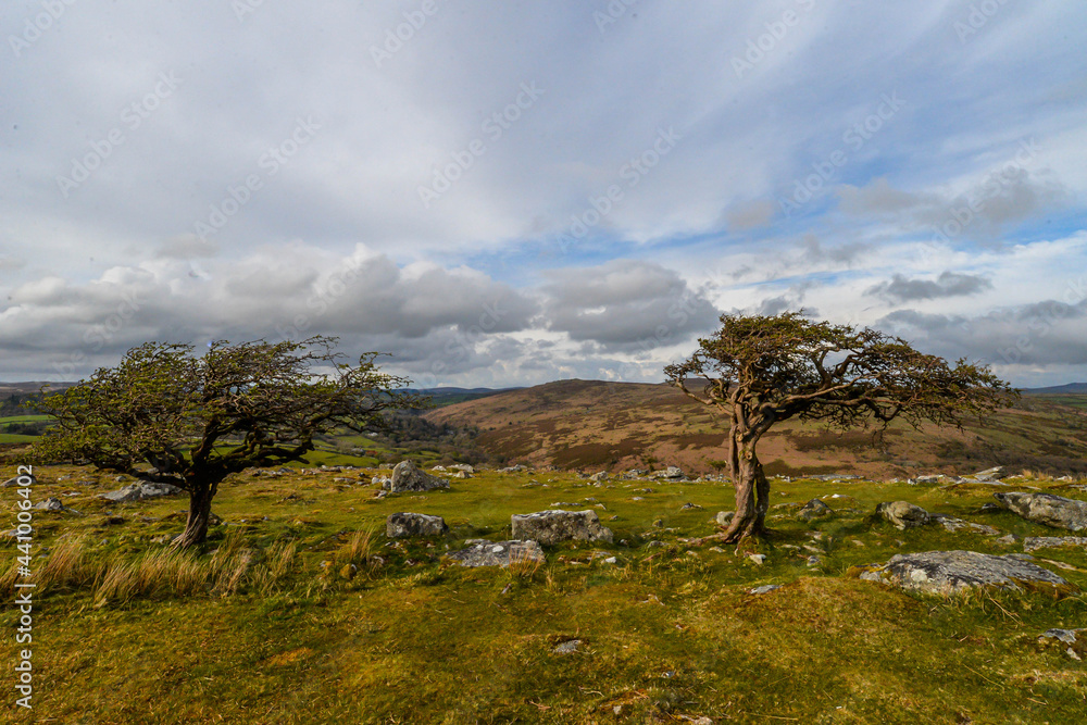 Dartmoor National Park in England