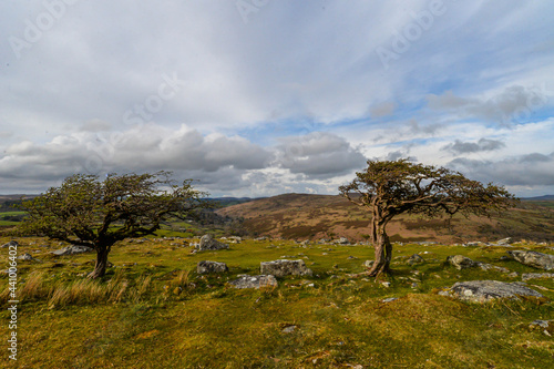 Obraz na płótnie Dartmoor National Park in England w salonie
