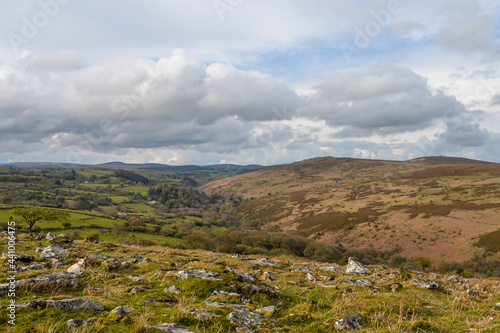 Obraz na płótnie Dartmoor National Park in England w salonie
