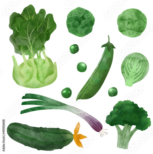 Veggies. Hand drawn vector illustration.