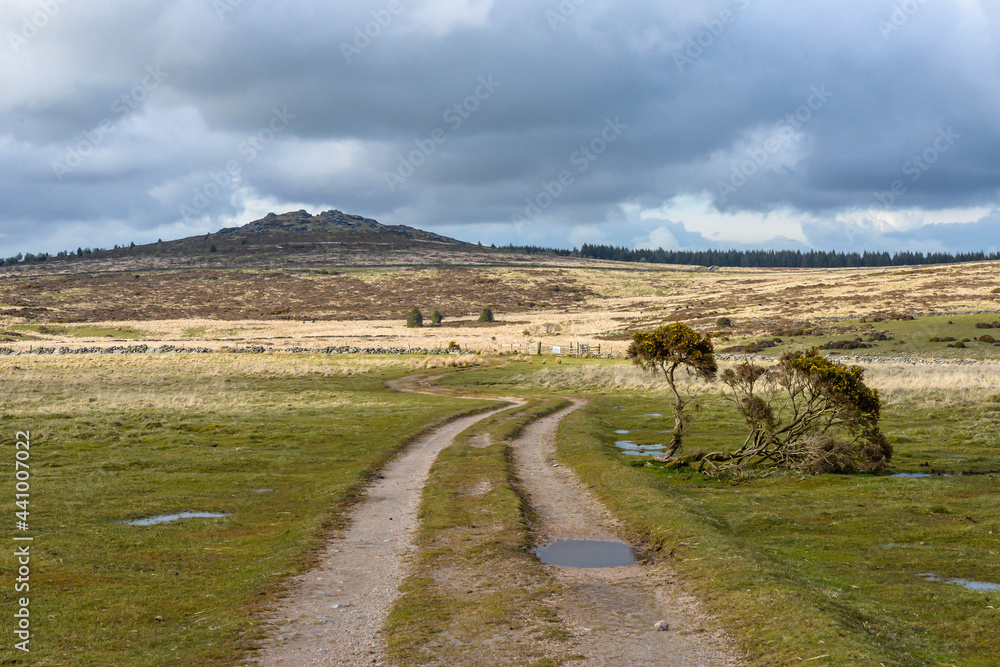 Dartmoor National Park in England