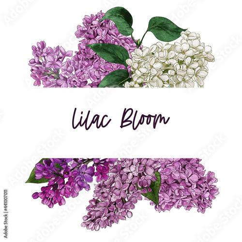 Watercolor lilac flowers and leaves.