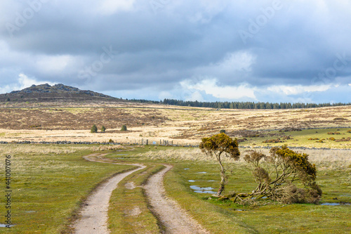 Dartmoor National Park in England