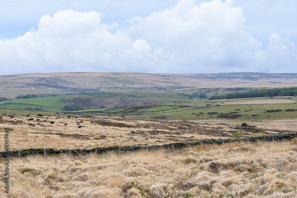 Dartmoor National Park in England