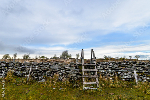 Obraz na płótnie Dartmoor National Park in England w salonie