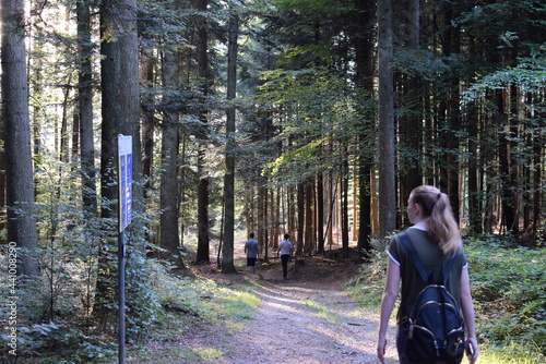 walking in the woods