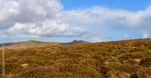 Obraz na płótnie Dartmoor National Park in England w salonie