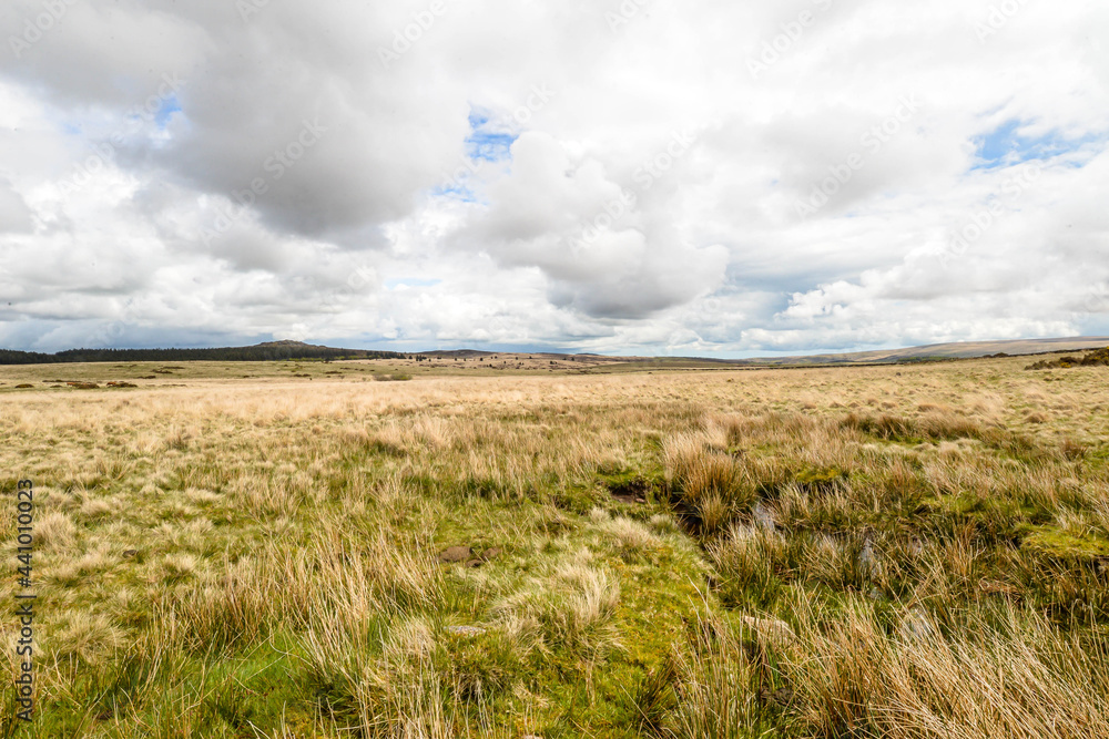 Dartmoor National Park in England