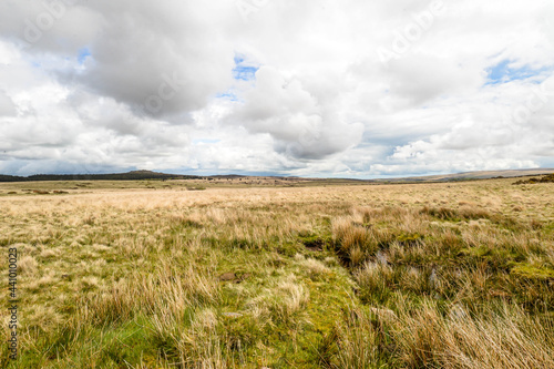 Obraz na płótnie Dartmoor National Park in England w salonie