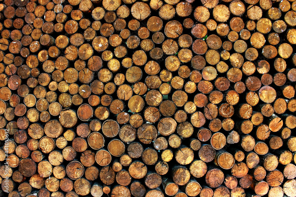 round cut of trees masonry vertical bars firewood log round cut of trees masonry vertical bars firewood log