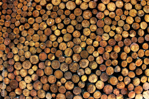 round cut of trees masonry vertical bars firewood log