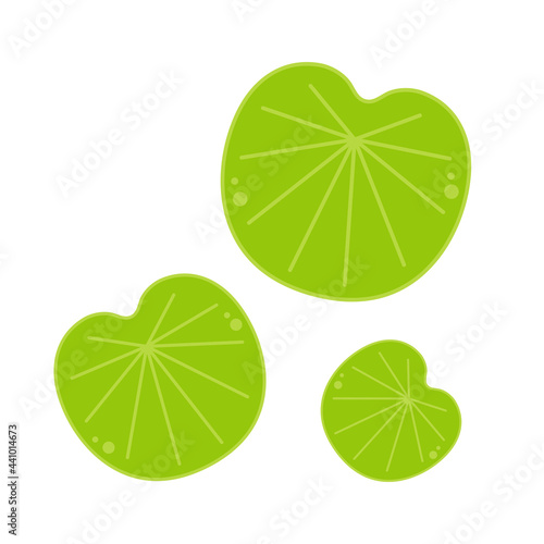 Lily pad vector. Lily cartoon vector on white background.