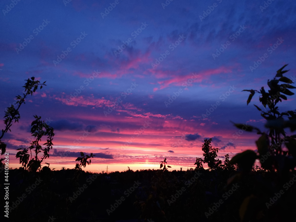 Sunset in the village. Branches of trees and sunset sky. Colorful sunset.