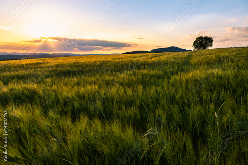 Sommerzeit