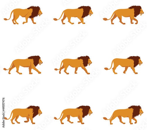 Lion's walk cycle 2d animation frames, frame by frame animation of lion