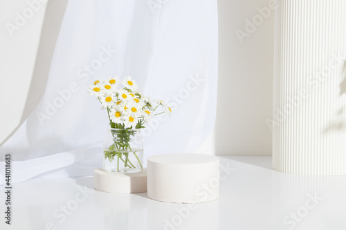 Canvas Print Empty cylindrical podium or plinth with chamomile flowers and seashell on a white background