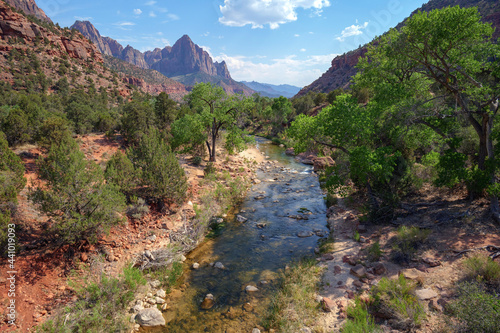 Zion National Park in summer photo