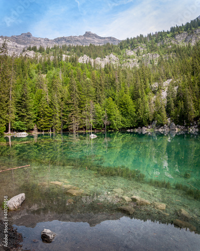 Lac Vert de Passy