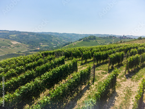 Hills between Serralunga and Castiglion Falletto  Piedmont - Italy