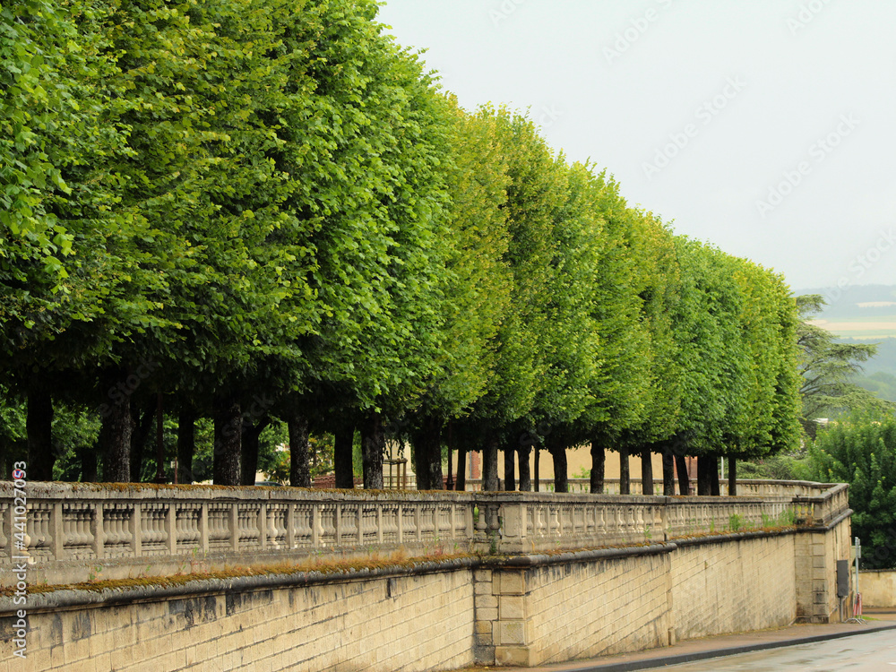 Fototapeta premium A beautiful city park with green trimmed trees in summer, in the medieval European city of Auxerre in France, in the urban heart.