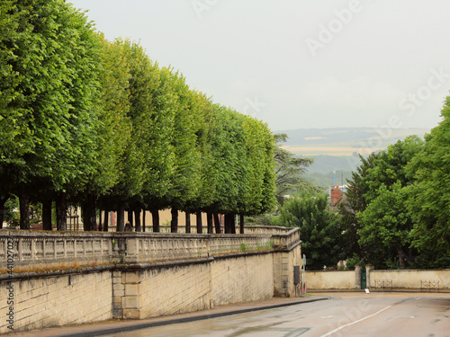 A beautiful city park with green trimmed trees in summer, in the medieval European city of Auxerre in France, in the urban heart.