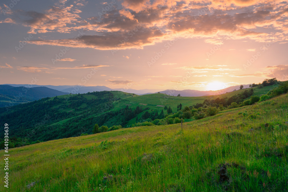 Beautiful summer evening scenery of green Carpathian mountains. High grass hills under a beautiful sunset sky.