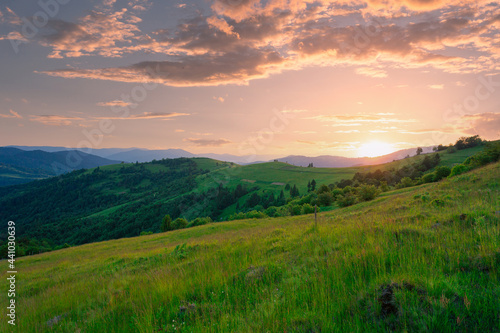 Beautiful summer evening scenery of green Carpathian mountains. High grass hills under a beautiful sunset sky. © stone36
