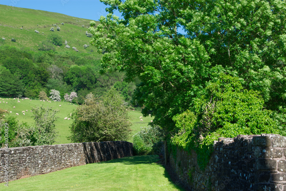 old stone wall and grass old stone wall and grass