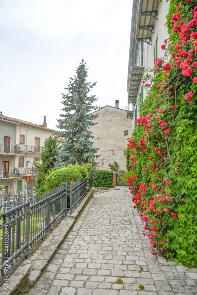 Fototapeta premium A small street between the old houses of Pietrabbondante, a medieval village in the mountains of the Molise region in Italy.