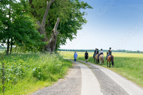 Fototapeta Naklejka Na Ścianę i Meble -  Outdoor activities in Mecklenburg Western Pomerania, actively organize holidays. Horse riding for kids in the beautiful landscape in summer time on quiet paths with wonderful views