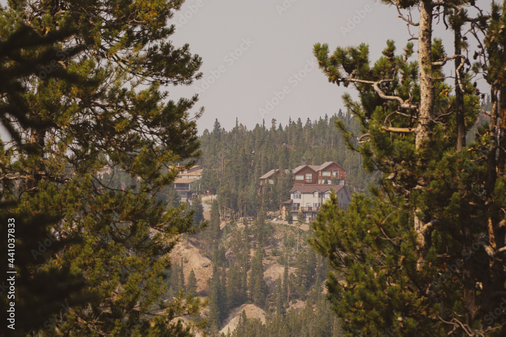 looking at a house in the colorado mountains through the trees