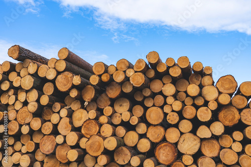 deforestation for roads  wood harvesting  wood as a renewable biological resource  deforestation area for highways