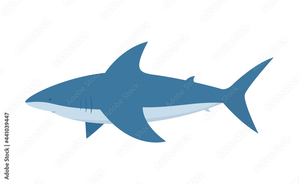 Shark. Dangerous great white shark isolated on white background. Vector cartoon illustration.