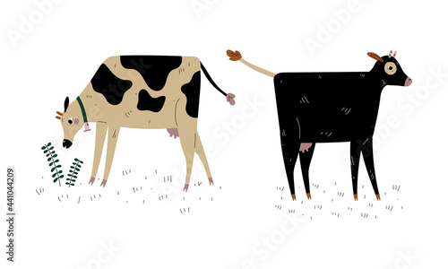 Milk Cow with Udder Grazing on Pasture as Dairy Cattle Breeding and Farming Vector Set