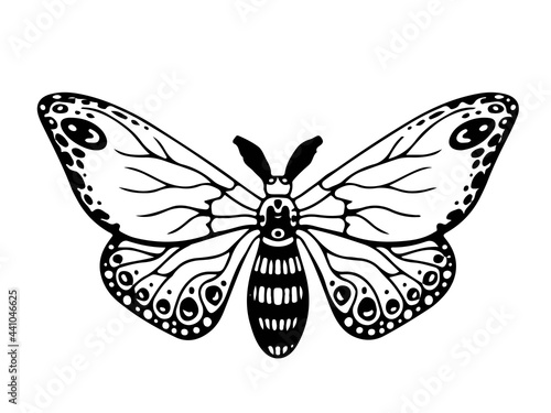 Black and white drawing of a beautiful butterfly or moth. Magic item. Magic. Halloween doodles. Vector illustration isolated on white background