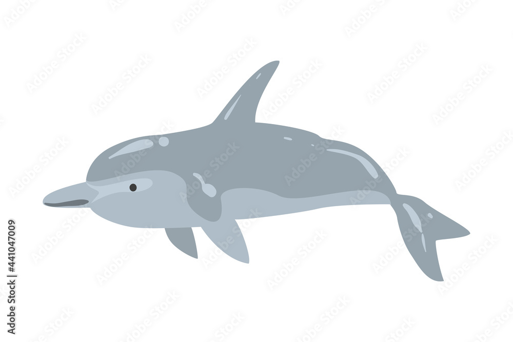 Dolphin Marine Underwater Fish Animal Cartoon Vector Illustration