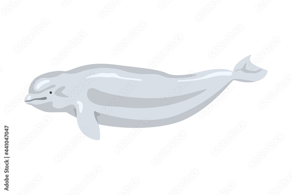 Obraz premium Whale Marine Mammal Fish Animal Cartoon Vector Illustration