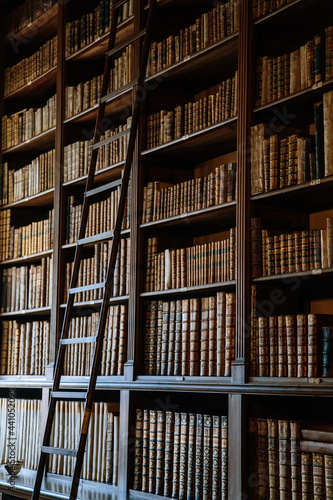 Castle interior, library with high bookshelves full of old books, staircase, Baroque classicism carved wooden furniture, beige brown tones, renaissance chateau Opocno, Czech Republic