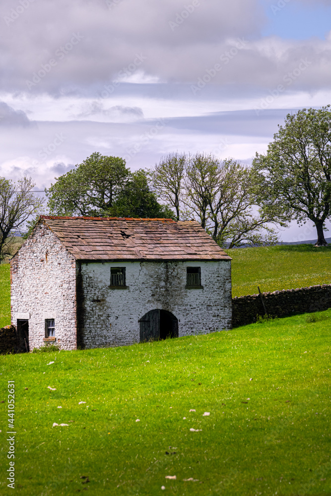 Traditional whitewashed barn in Upper Teesdale, County Durham, England, in spring
Traditional whitewashed barn in Upper Teesdale, County Durham, England, in spring