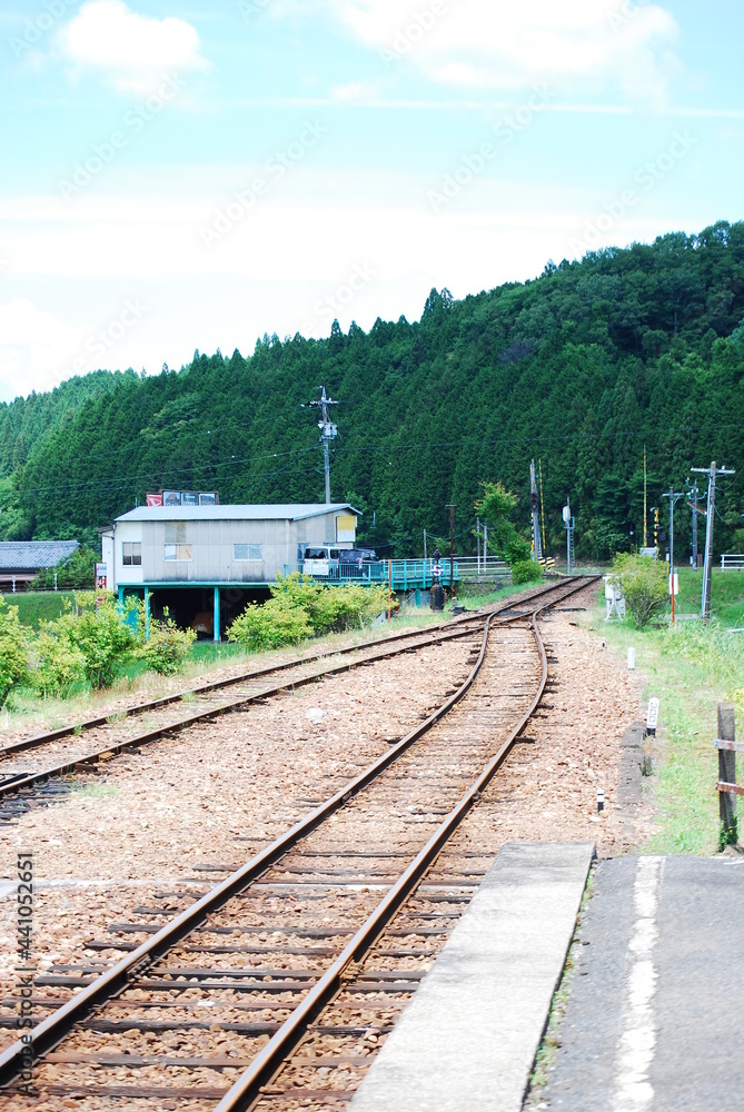 Fototapeta premium ポイント