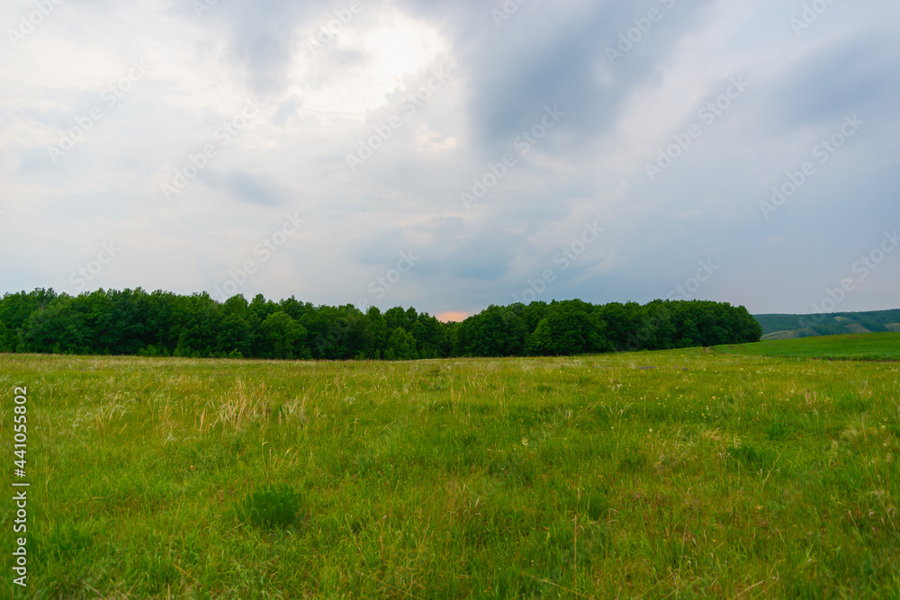 Fototapeta premium The landscape is like in the forests of the Moscow region.