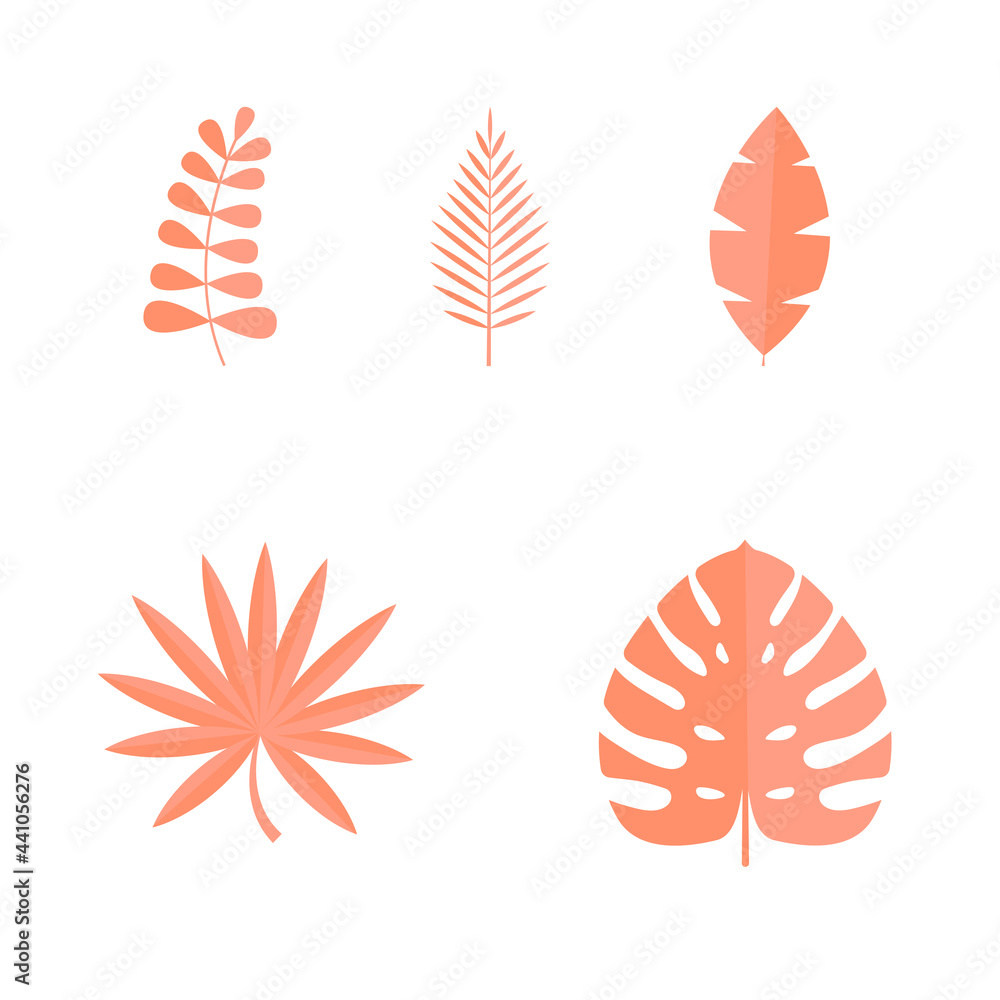 Set of Summer tropical leaves isolated on white background. Vector illustration Set of Summer tropical leaves isolated on white background. Vector illustration