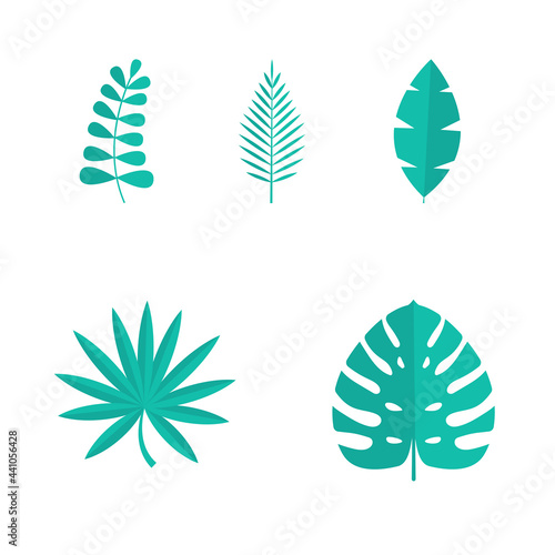 Set of Summer tropical leaves isolated on white background. Vector illustration