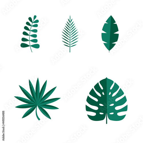 Set of Summer tropical leaves isolated on white background. Vector illustration