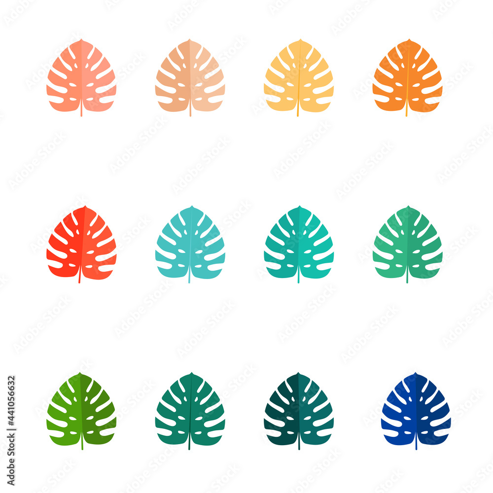 Set of Summer tropical leaves isolated on white background. Vector illustration Set of Summer tropical leaves isolated on white background. Vector illustration